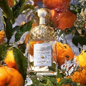 Pick 4/$25 Guerlain Aqua Allegoria Mandarine Basilic Eau de Parfum 🆕delu…